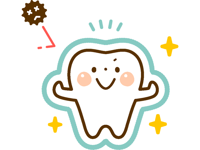 歯の質が強くなる